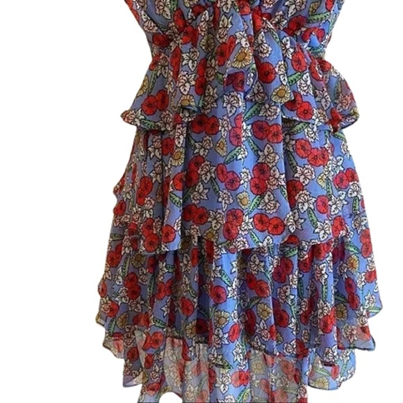 Disney Womens Through The Looking Glass Flower Ruffle Dress Size Small - Picture 4 of 4
